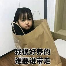 我在皇宫养胖帝兽宝书网