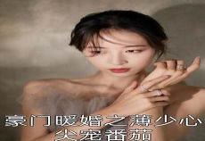 首席老公太闷骚全文免费阅读